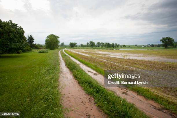Run Off Farm 337 Farm Runoff Stock Photos, High-Res Pictures, and Images - Getty Images