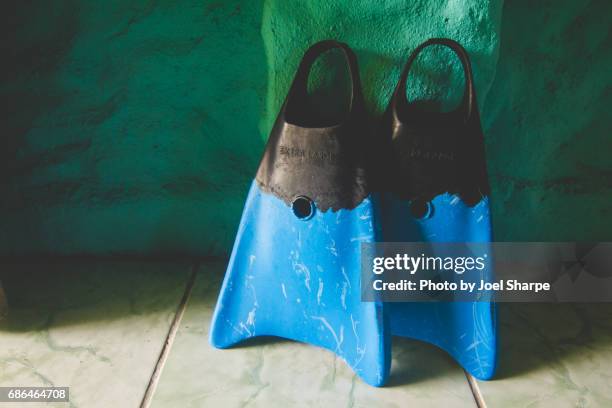 swimming fins lean against wall - diving flippers stock pictures, royalty-free photos & images