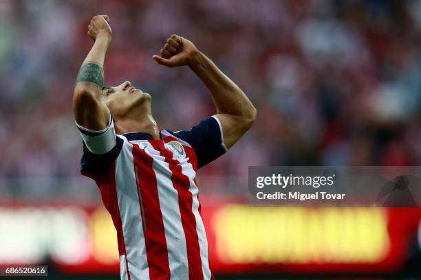 Alan Pulido of Chivas reacts after the semi final second leg match between Chivas and Toluca as part of the Torneo Clausura 2017 Liga MX at Chivas...