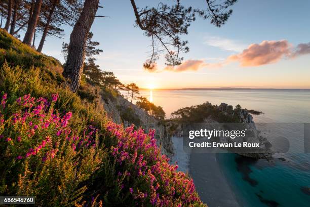 colors explosion at virgin island (saint hernot point) - impression forte stock pictures, royalty-free photos & images