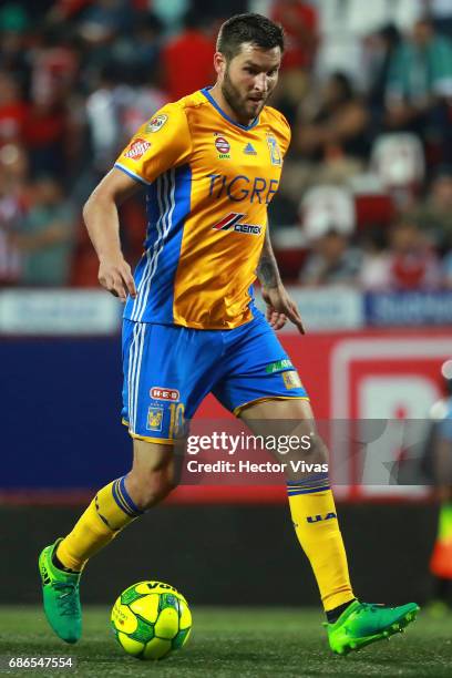 Andre Pierre Gignac of Tigres drives the ball during the semi finals second leg match between Tijuana and Tigres UANL as part of the Torneo Clausura...