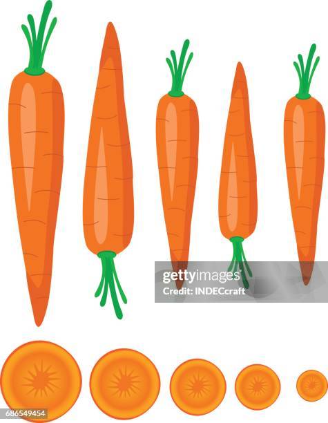 ilustraciones, imágenes clip art, dibujos animados e iconos de stock de zanahoria - carrot