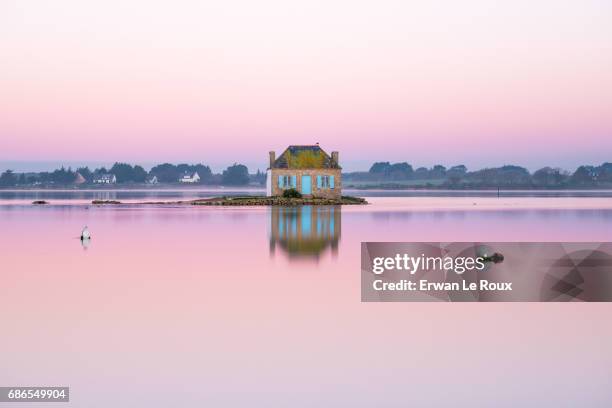 alone ... with its reflection - bretagne photos et images de collection