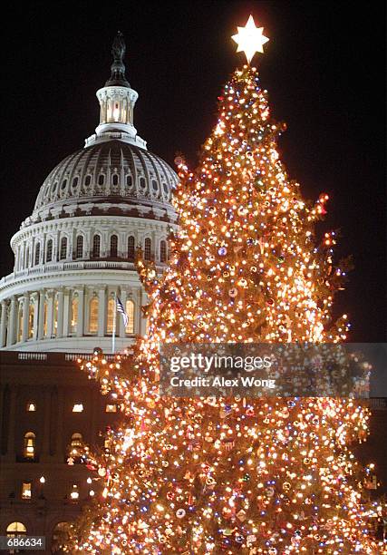 The 2001 Capitol holiday tree is lighted December 11, 2001 on Capitol Hill in Washington, DC. The 75-foot white spruce from Ottawa National Forest...