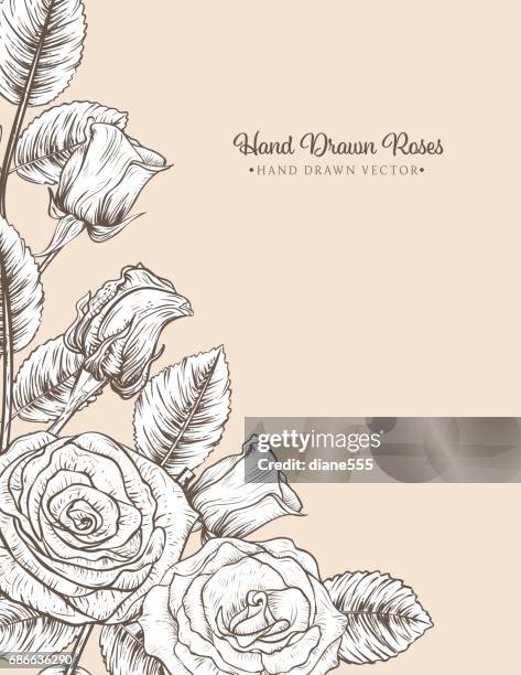 botanical roses invitation template - menique lagoon stock illustrations