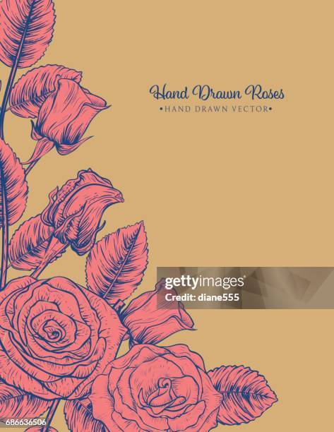 botanical roses invitation template - menique lagoon stock illustrations