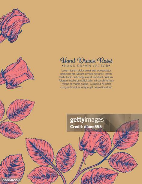 botanical roses invitation template - menique lagoon stock illustrations