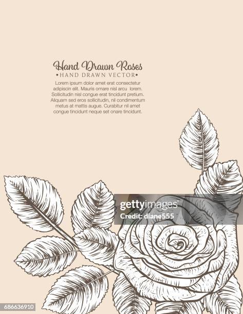 botanical floral invitation template - menique lagoon stock illustrations