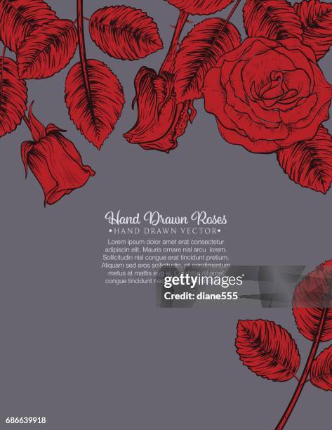 botanical roses invitation template - menique lagoon stock illustrations