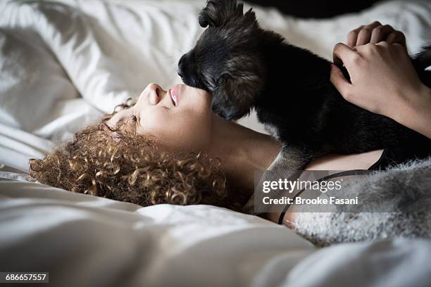young woman playing with puppy - brunette woman bed stockfoto's en -beelden