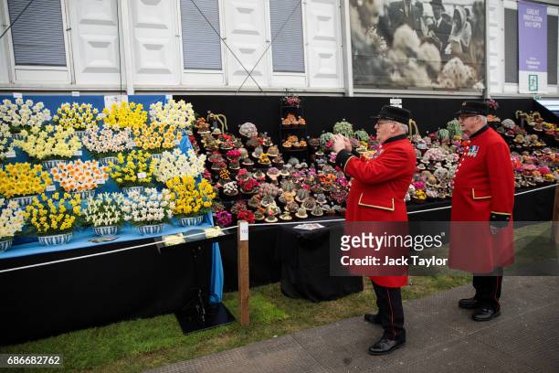 Chelsea pensioners view and take pictures of the floral displays at the Chelsea Flower Show on May 22, 2017 in London, England. The prestigious...