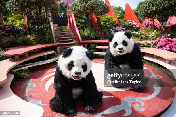 Performers in panda costumes perform in the Silk Road Garden at the Chelsea Flower Show on May 22, 2017 in London, England. The prestigious Chelsea...