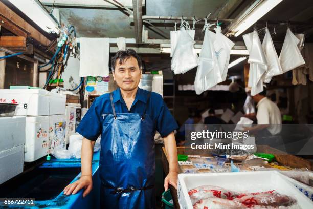 a traditional fresh fish market in tokyo. a man in a blue apron standing behind the counter of his stall. - fish vendor bildbanksfoton och bilder
