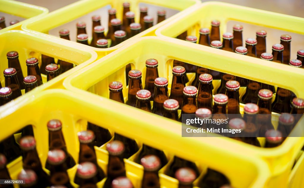 Yellow plastic crates with beer bottles in a brewery.