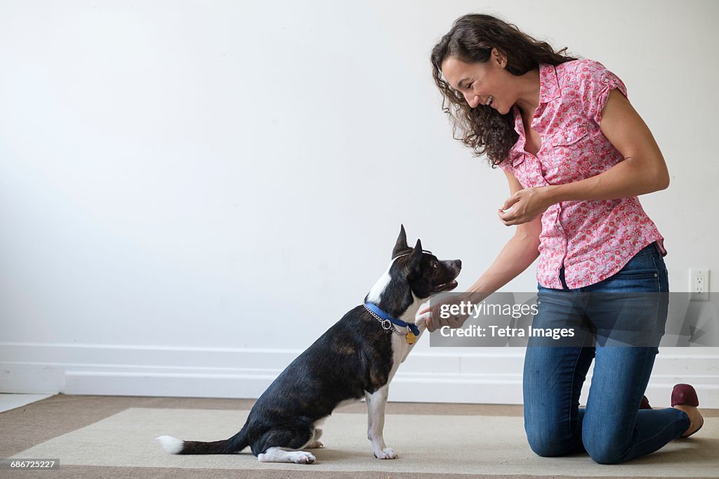 Young woman training her dog