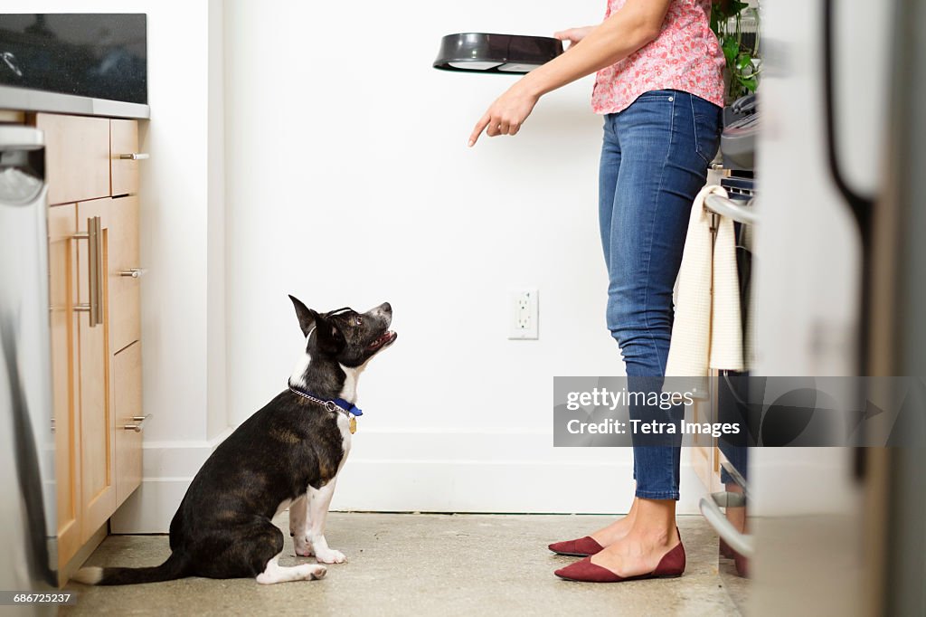 Woman feeding dog in kitchen