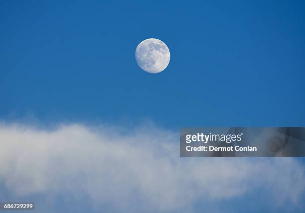full moon on blue sky - pleine lune photos et images de collection