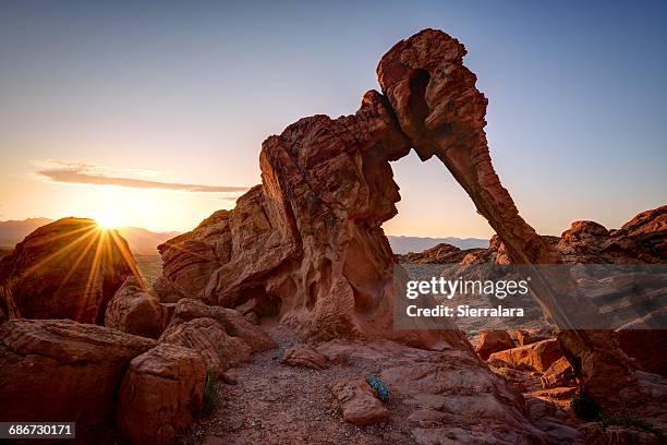 elephant rock, valley of fire state park, nevada, america, usa - nevada state stock pictures, royalty-free photos & images