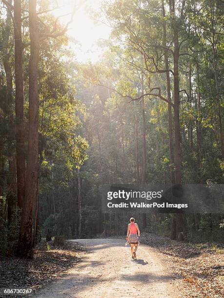 australia, new south wales, port macquarie, rear view of mature woman walking along dirt road in forest - forest new south wales stock pictures, royalty-free photos & images