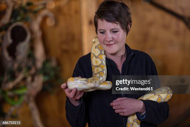 Australia Woman Python 244 Southern African Python Stock Photos, High-Res Pictures, and Images ...
