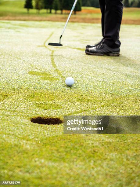 golfer on golf course with dew, partial view - putting green stock pictures, royalty-free photos & images