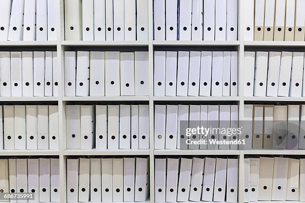 white shelf with rows of white folders - bureaucracy stock pictures, royalty-free photos & images