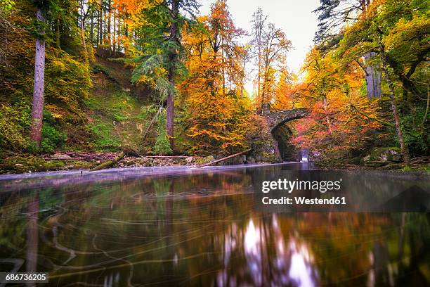 uk, scotland, dunkeld, autumn trees at river braan - perthshire stock pictures, royalty-free photos & images