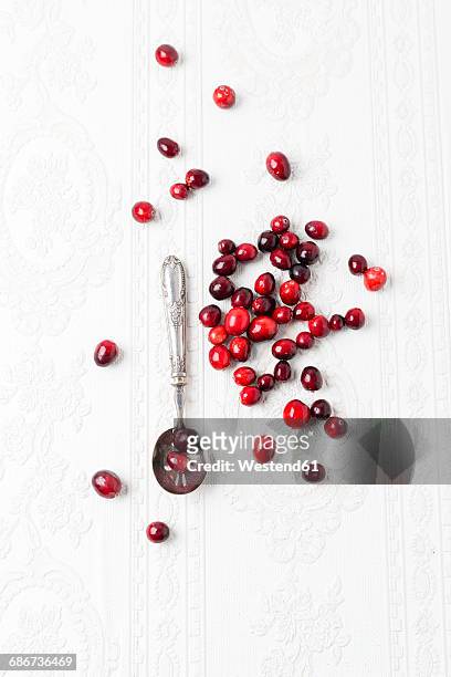 fresh cranberries - クランベリー ストックフォトと画像