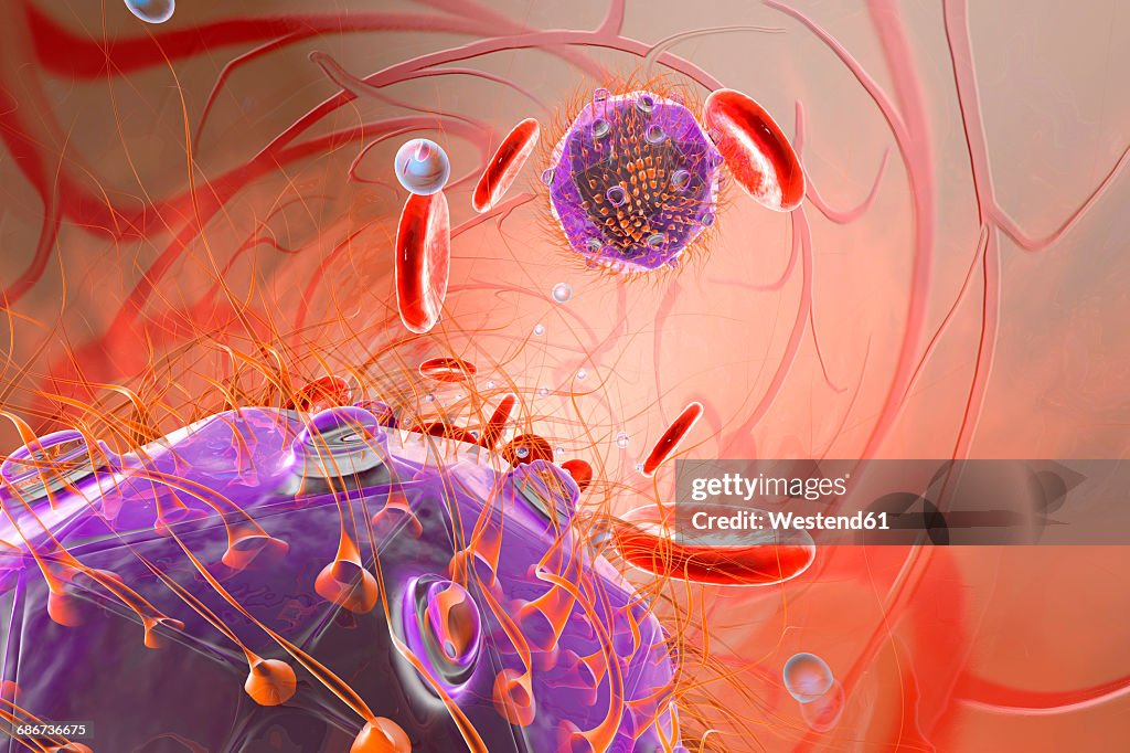 Virus, erythrocyte cells and oxygen in bloodstream, 3D Rendering