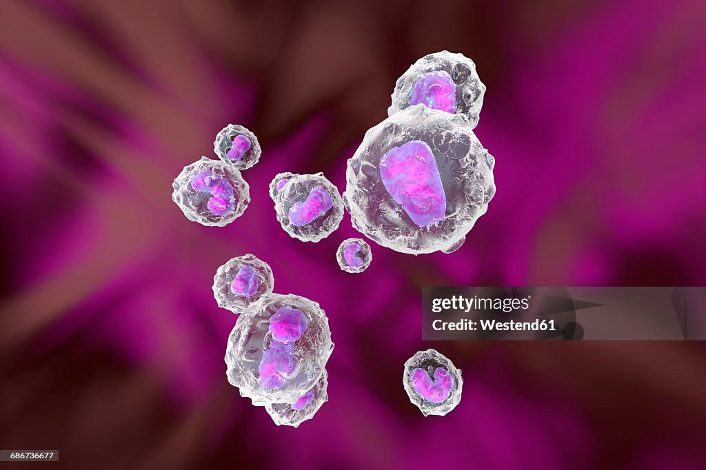 Monocyte immune system defense cells, 3D Rendering