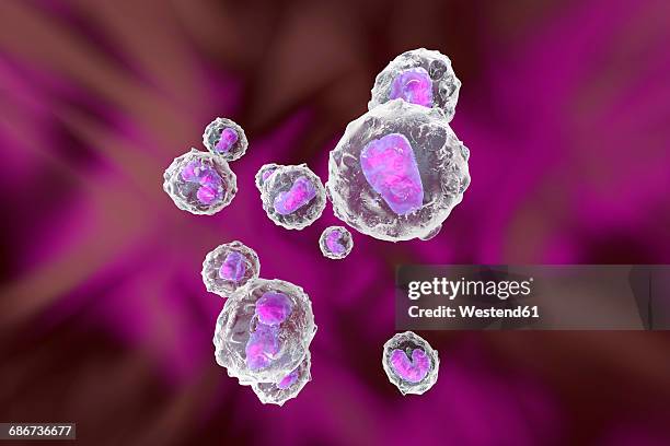monocyte immune system defense cells, 3d rendering - immunologie stock-grafiken, -clipart, -cartoons und -symbole