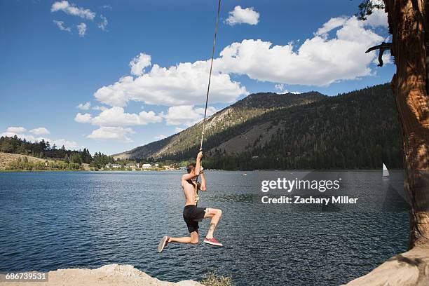 "young man swinging on rope swing over lake, mammoth lakes, california, usa" - rope swing fotografías e imágenes de stock