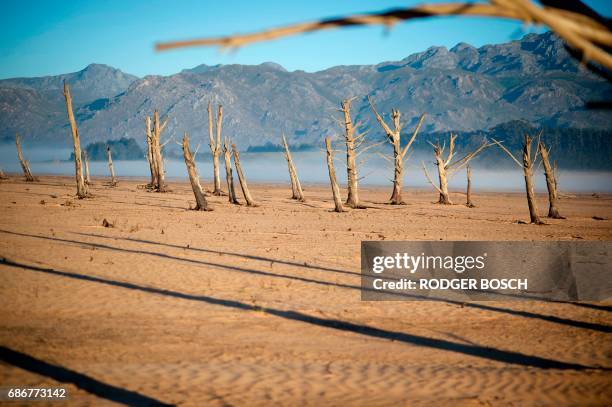 Picture taken on May 10, 2017 shows bare sand and dried tree trunks standing out at Theewaterskloof Dam, which has less than 20% of it's water...