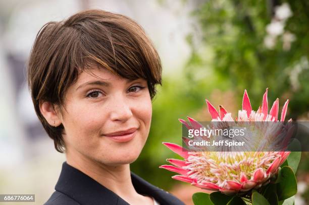 Gemma Arterton attends RHS Chelsea Flower Show press day at Royal Hospital Chelsea on May 22, 2017 in London, England.
