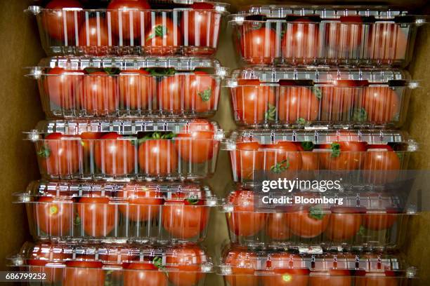 Packages of tomatoes sit stacked at the BrightFarms Inc. Chicagoland greenhouse in Rochelle, Illinois, U.S., on Friday, May 12, 2017. The BrightFarms...