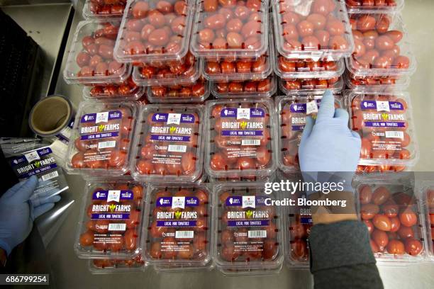 An employee labels packages of miniature tomatoes at the BrightFarms Inc. Chicagoland greenhouse in Rochelle, Illinois, U.S., on Friday, May 12,...