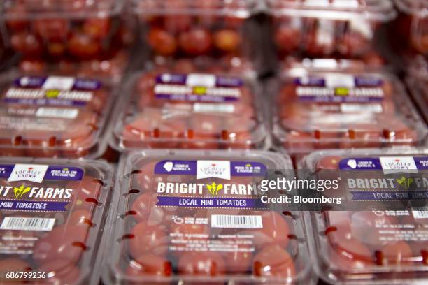 Packages of miniature tomatoes sit stacked at the BrightFarms Inc. Chicagoland greenhouse in Rochelle, Illinois, U.S., on Friday, May 12, 2017. The...