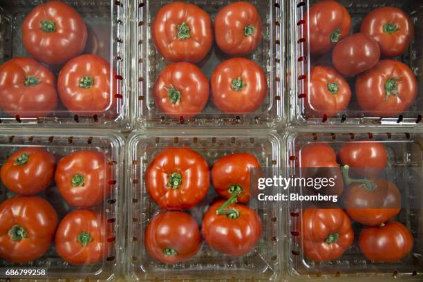 Packages of tomatoes sit in a tray at the BrightFarms Inc. Chicagoland greenhouse in Rochelle, Illinois, U.S., on Friday, May 12, 2017. The...
