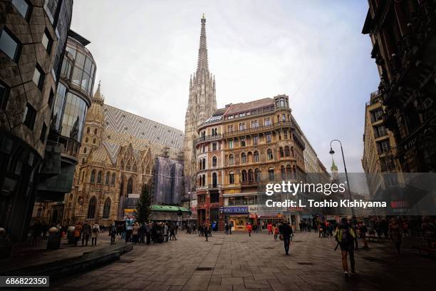 st stephen's cathedral in vienna, austria - st stephens cathedral vienna imagens e fotografias de stock