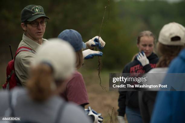 Forest Service ranger explains the planting of an American Chestnut seedling on the 6th consecutive year where volunteers planted trees in a field at...