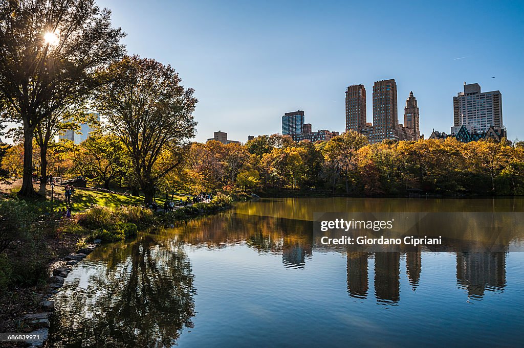Autumn in Central Park