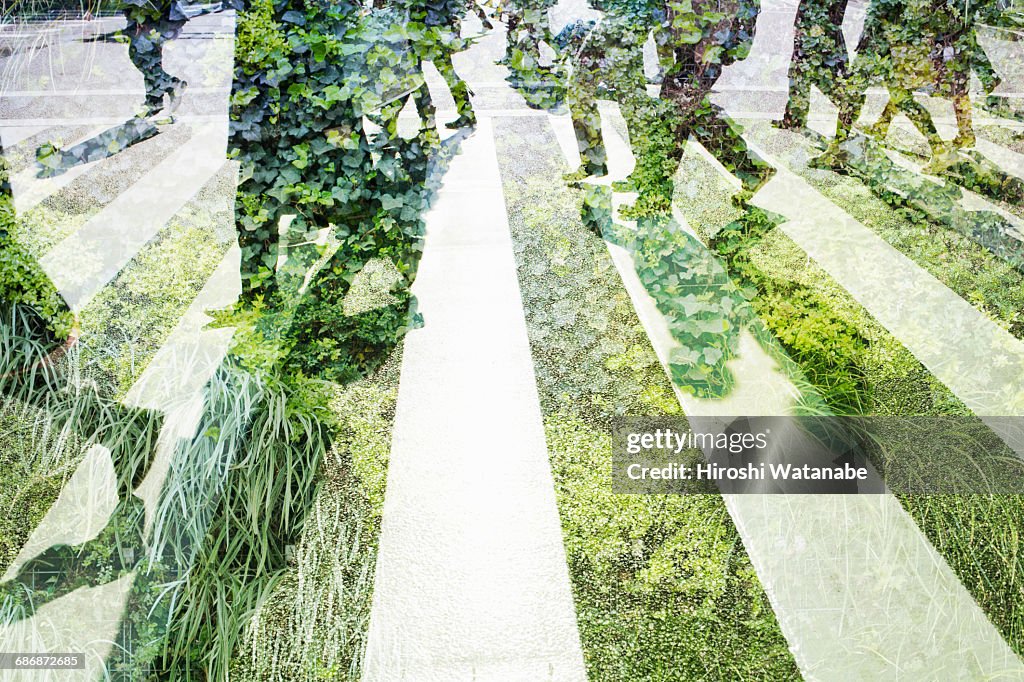 Multi layered businessmen with green wall