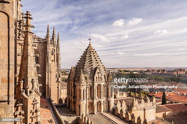 the cathedral in salamanca, spain. - salamanca stock pictures, royalty-free photos & images
