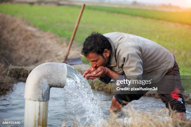 young men drinking outdoor in the field - watering farm stock pictures, royalty-free photos & images