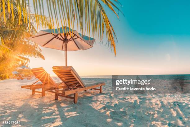 vacation holidays background wallpaper. summer beach tourism vacation holiday travel concept. relaxing happiness romantic idyllic family romantic couple wallpaper. - bora bora stock pictures, royalty-free photos & images