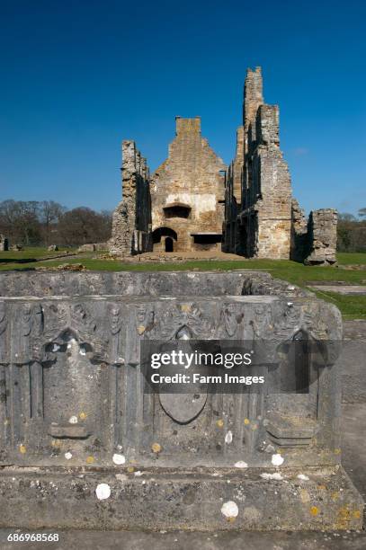St. Johns Monastery (in ruins) — Mullinahone