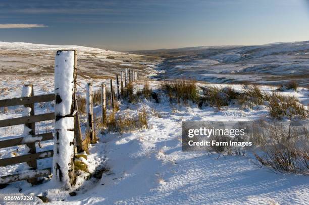 Looking down a snow covered Harwood in Teesdale from near Ashgill Head. Co. Durham - England.