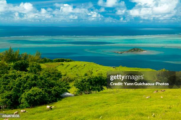 anse mourouk and the hermitage island, rodrigues island, mauritius republic - isole mauritius stock pictures, royalty-free photos & images