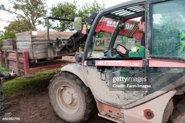 Loadall Loader Loadall Photos and Premium High Res Pictures - Getty Images
