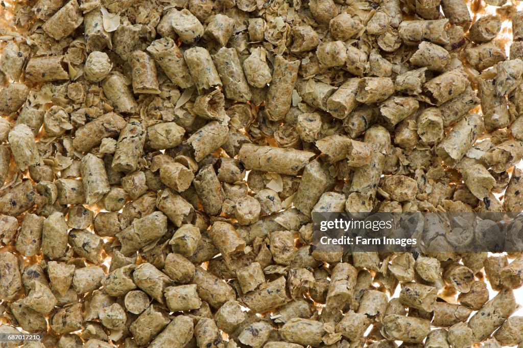 Processed Soya nuts, used in animal feed